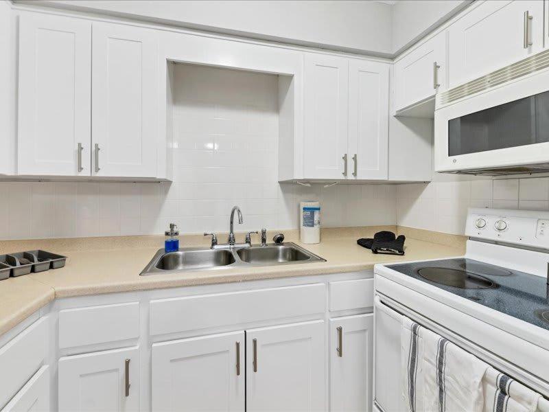 坦帕Designed And Cozy 1Br With Parking Near Stores公寓 外观 照片